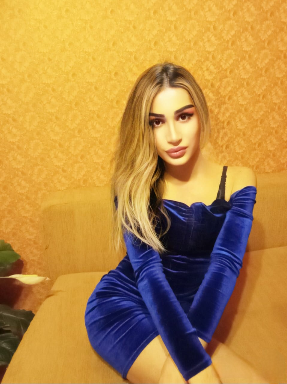 ���� ������������� ���� ����� 22/7 �� ������ ������