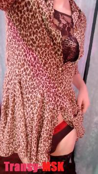 ���� ������������� �������� �� ������ ������