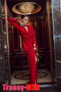 ���� ������������� ������ �� ������ ������